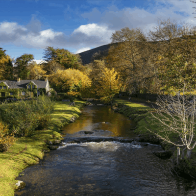 A Family Travel Guide to Irish Fairy Trails in Roscommon