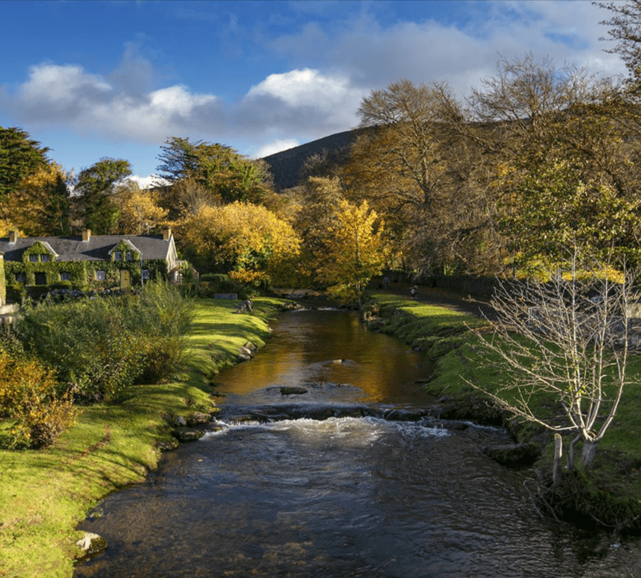 A Family Travel Guide to Irish Fairy Trails in Roscommon